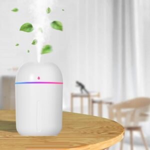 220ml USB Mini Humidifier for Plants/Bedroom/Office/Car/Travel, Personal Desktop