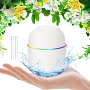 7.44oz Mini Desk Plant Humidifier, Not Rechargeable